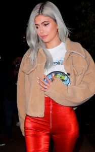Kylie Jenner Titanium Silver nadia ceccarelli compagnia della bellezza roma salone di bellezza parrucchiera